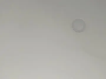 Kitty_cat_7  live sex cam