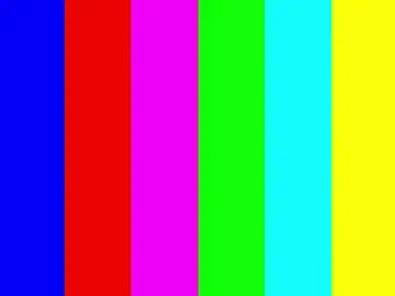 Sidneyhodsdon  live sex cam