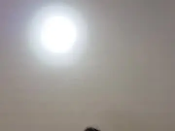 Yutori_  live sex cam