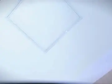 Ayla_lux  live sex cam