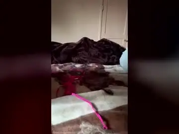 Rubyy6  live sex cam