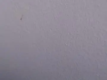 Ariannaloovel  live sex cam