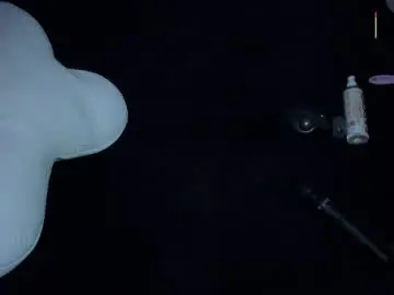 Online_may  live sex cam