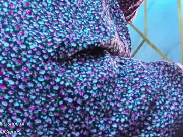 Sweet_tits2  live sex cam