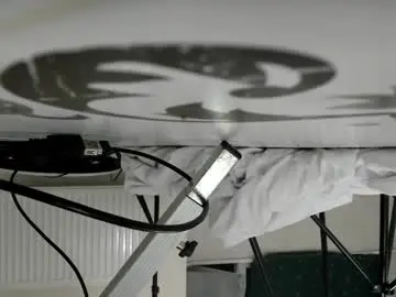 Linaf1owers  live sex cam