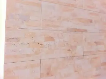 Saray_parker  live sex cam