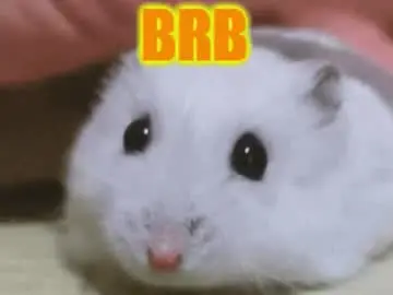 Babe_stasy  live sex cam