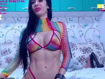 Spicybrunnete  live sex cam