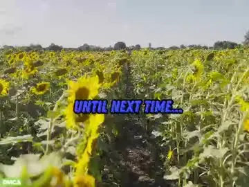 Sunflower0907  live sex cam