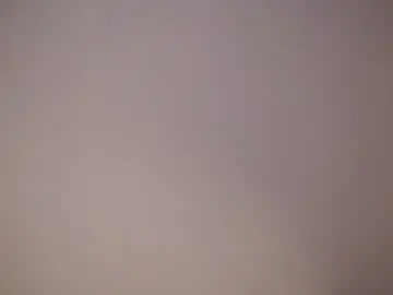 Late_night_argument  live sex cam