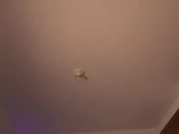 Suki_3  live sex cam
