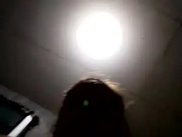 Wildblack69  live sex cam