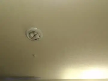 Nikkimasters1091  live sex cam