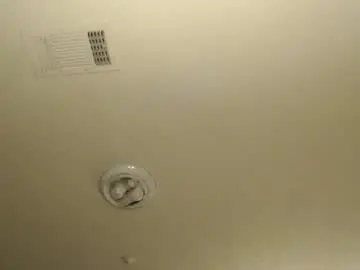 Nikkimasters1091  live sex cam