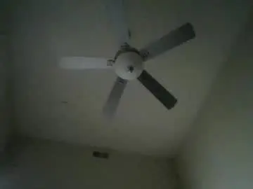Sadieday  live sex cam