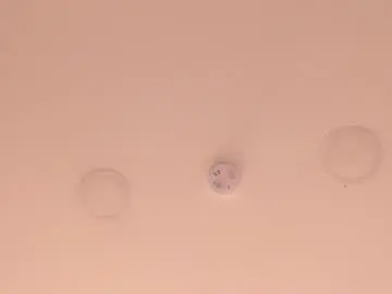 Emmiily_z  live sex cam