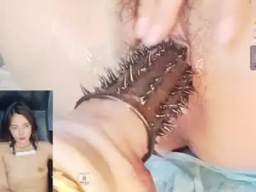 Xiaohaitun669105  live sex cam