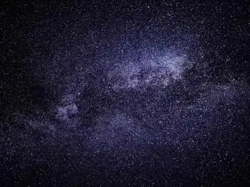 Shaneedmonston  live sex cam