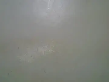 Queen_polite  live sex cam