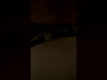 Piefacecum  live sex cam