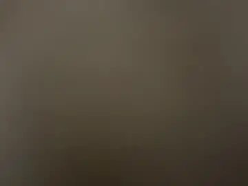Cattypants  live sex cam