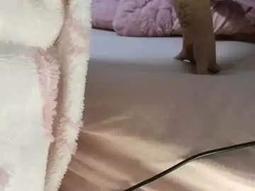 Wondergirl_68  live sex cam