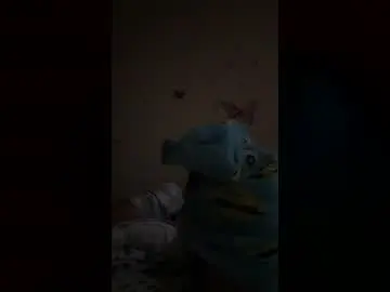 Princessdabop  live sex cam