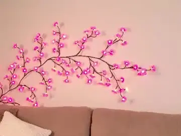 Your_night_fury  live sex cam