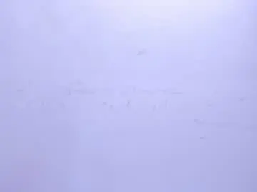 Taniaesquivel  live sex cam