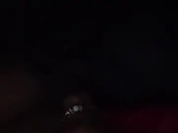 Cherryblossom444  live sex cam