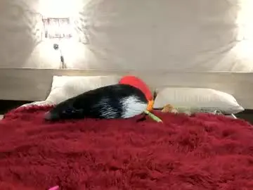 Eliteeros  live sex cam