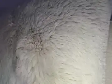 Pollyyypocket  live sex cam