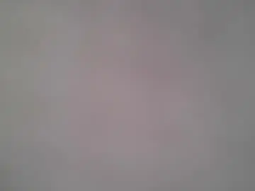 Indanbella19  live sex cam