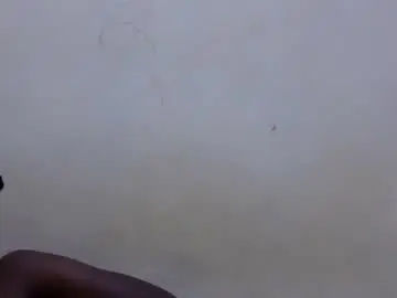 Pretty_leila1  live sex cam