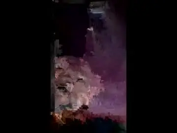 Bradjj2246  live sex cam