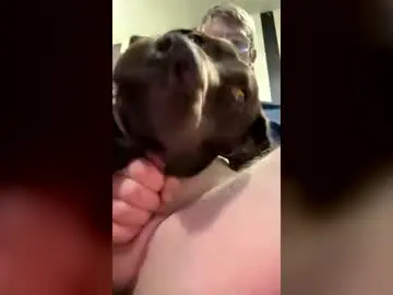 Dave689476  live sex cam