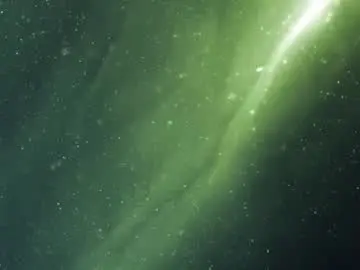 Teoshi  live sex cam