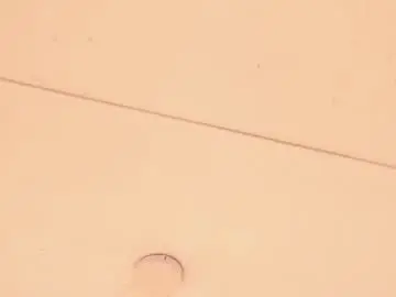 Belacampbell  live sex cam