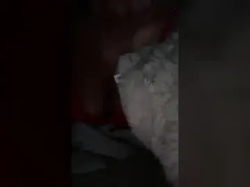 Temptationbabe69  live sex cam