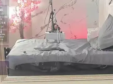 Candaceowens  live sex cam