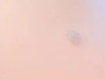 Salomesimos1  live sex cam