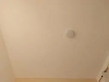 Salomesimos1  live sex cam