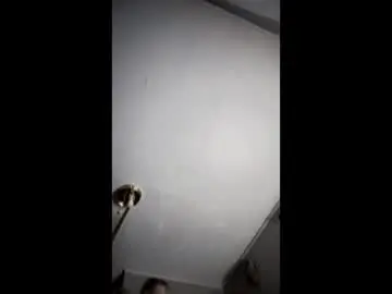 Naturalbeautybrat  live sex cam