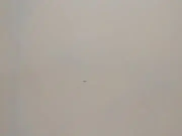 Reshi_hevss  live sex cam