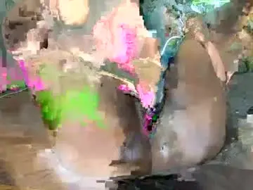 Sollybunny  live sex cam
