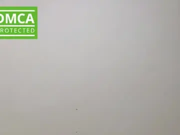 _leiablackley_  live sex cam