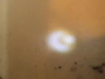 Petitee_lunna  live sex cam