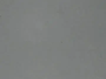 Sophia_ebony___  live sex cam