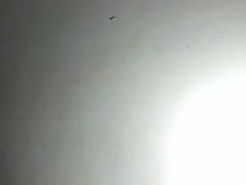 Lily_johnson1  live sex cam