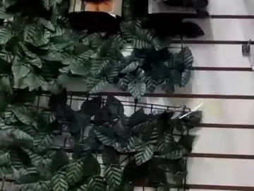 Sarayx  live sex cam